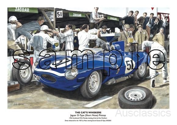 Jaguar D-type Pitstop.jpg